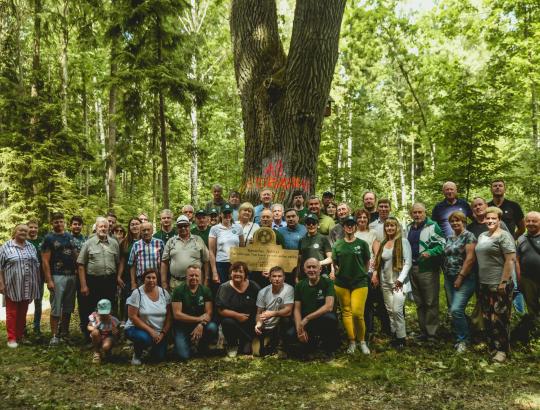 Kviečiame dalyvauti konkurse „Pavyzdingai tvarkoma privati miško valda 2023“
