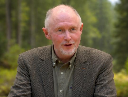 A.Gaižutis: Galime atsidurti situacijoje, kai miškus turėsime, bet neturėsime žmonių, kurie juos prižiūri ir tvarko.