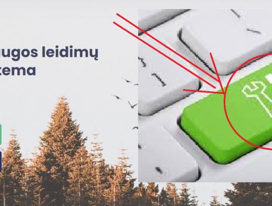 Toliau tobulinama leidimų išdavimo sistema ALIS