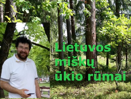 Įsteigti Lietuvos miškų ūkio rūmai