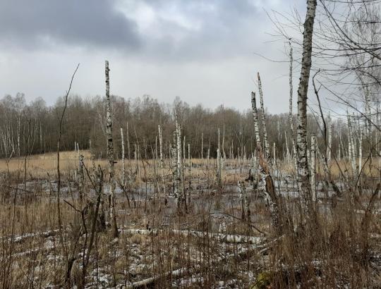 Lietuva Suvalkų koridorių gins pasienio žemes paverčiant pelkėmis?