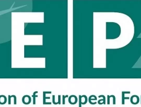 CEPF: Europos Parlamentas priėmė kompromisą dėl miškų naikinimo reglamento