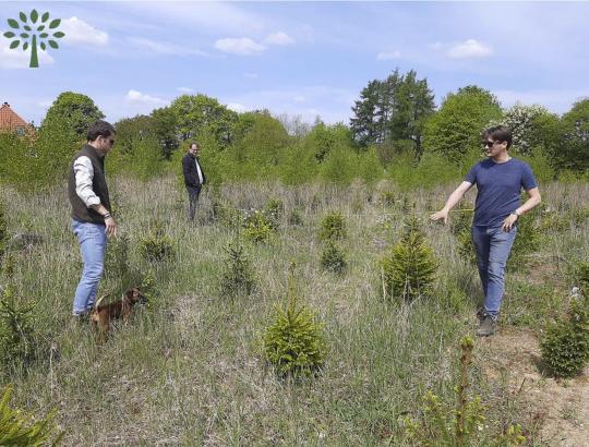 „Ecobase“ pradeda pagerintos miškų prižiūros projektą Lietuvoje.
