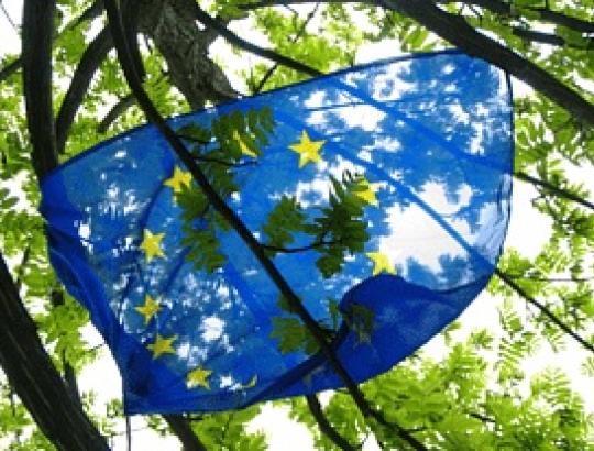 Kaip EK planuoja reguliuoti miškų monitoringą ir strateginių planų rengimą ES?