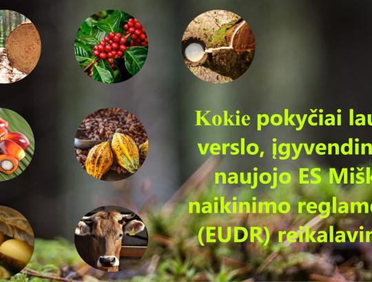 Kokie pokyčiai laukia verslo, įgyvendinant naujojo ES Miškų naikinimo reglamento (EUDR) reikalavimus?