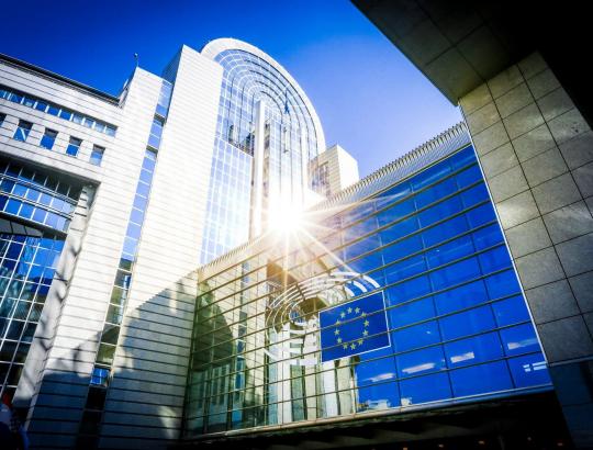 Europos Parlamentas spręs dėl ES Gamtos atkūrimo įstatymo