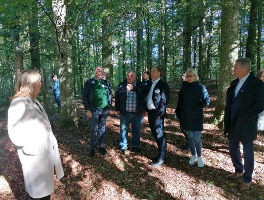 Baltijos šalių privačių miškų savininkų iššūkiai panašūs, tačiau sprendimai skiriasi 