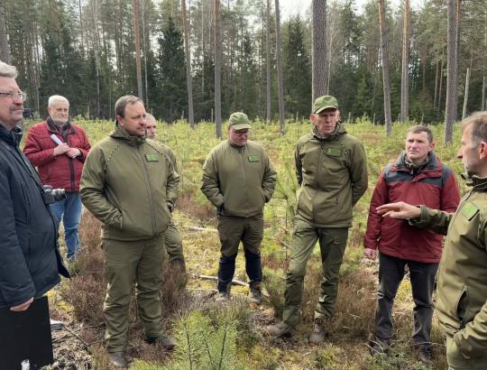 LMSA pateikėme pasiūlymus dėl rengiamų Kirtimo taisyklių projekto