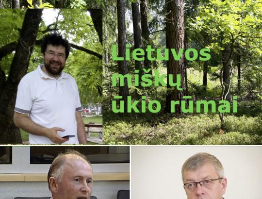 LMŪR: Tikimės atsakingų ir pagrįstų sprendimų Lietuvos miškų politikoje