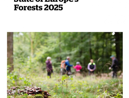 FOREST EUROPE leidinys „Europos miškų būklė 2025“
