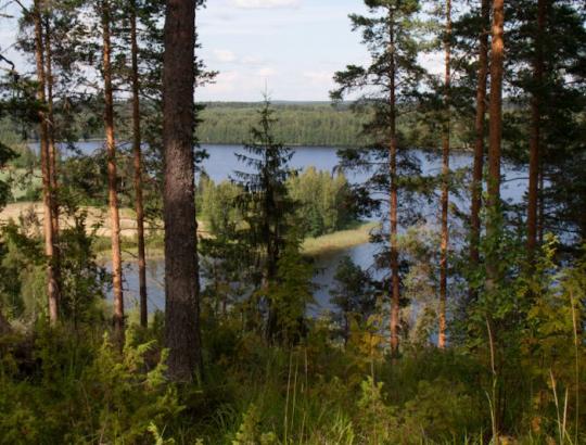 Žlugo Suomijos aplinkosaugininkų siekiai, kad apsauga būtų nustatoma be atlygio