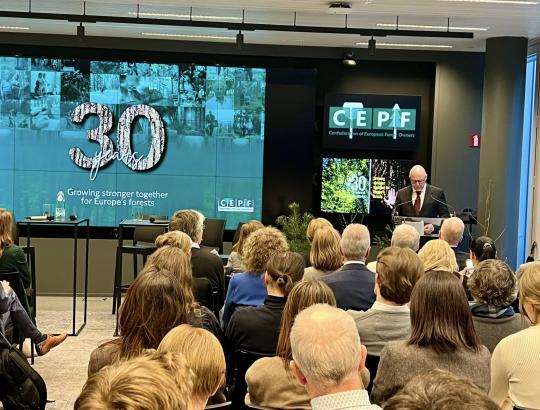 CEPF prezidentas Sven Erik Hammar: Europa auga kartu su savo miškais