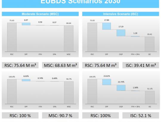 ES biologinės įvairovės strategijos įgyvendinimas: medienos gamybos apimtys ES pasikeis