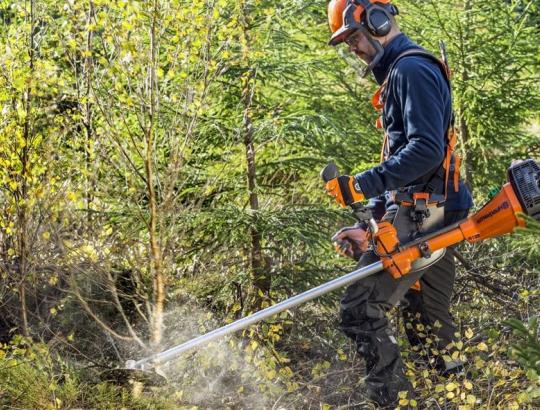 NMA: Kviečiame teikti paraiškas dėl paramos miškų aplinkosauginei vertei padidinti