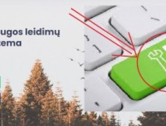 Galiausiai imamasi tobulinti stringantį leidimų miškui kirsti išdavimo procesą