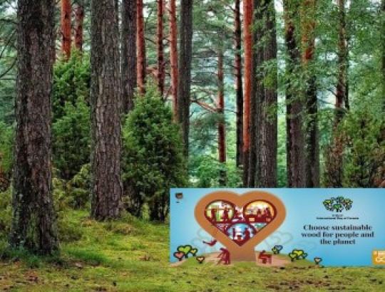 Kovo 21 d.- Pasaulinė miškų diena. S V E I K I N A M E !