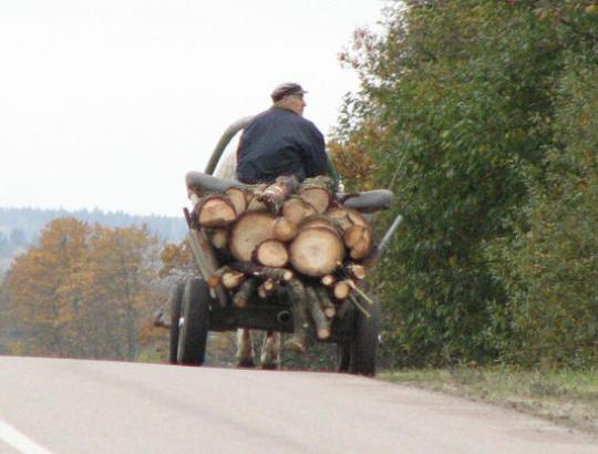 LMSA: sąžiningas miško savininkas negali būti traktuojamas kaip pažeidėjas