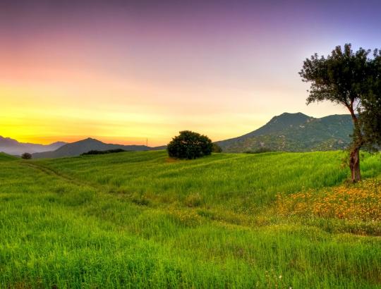 * CEPF Strategy for climate change issues