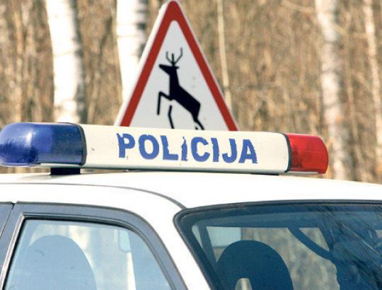 Vyriausybė kratosi pareigos atsakyti už laukinių žvėrių sukeltus autoįvykius 