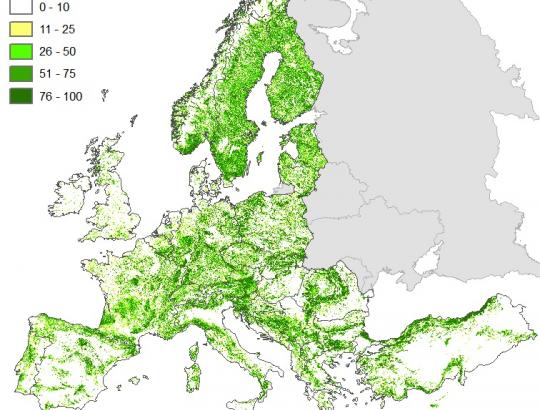 ES Komisija galiausiai paskelbė komunikatą dėl ES miškų strategijos