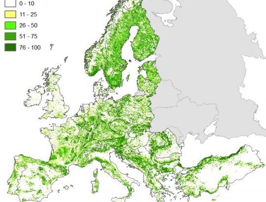 Mokslininkai analizavo- kiek privatūs yra privatūs miškai Europoje