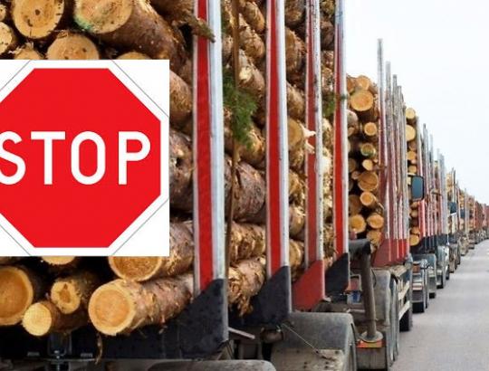 Augant rąstų eksportui, Vyriausybė žada medienos pramonei palaikymą