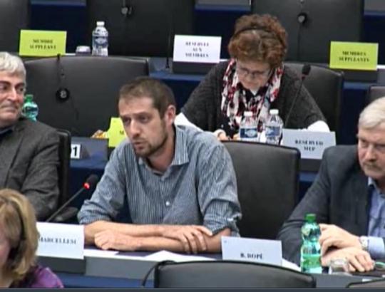 Europos Parlamente 2016-11-21 svarstytas ES miškų strategijos įgyvendinimas