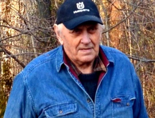 J.Dagilis: Ąžuolai ne tik elitinių Lietuvos gyventojų medžiai