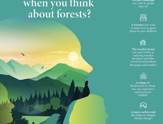 EFI: atsakymai į 12 pagrindinių klausimų apie ES miškus