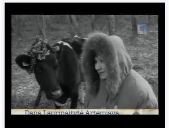 Siekiantys gauti norvegų finansavimą aplinkosaugininkai vykdys ganymo eksperimentą Kuršių Nerijoje