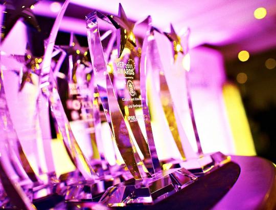 Europarlamentarui K.Arsenis įteiktas prestižinis MEP Awards 2011 miškų apdovanojimas