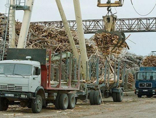 Auga didžiųjų biokuro tiekėjų nerimas dėl keičiamų verslo taisyklių