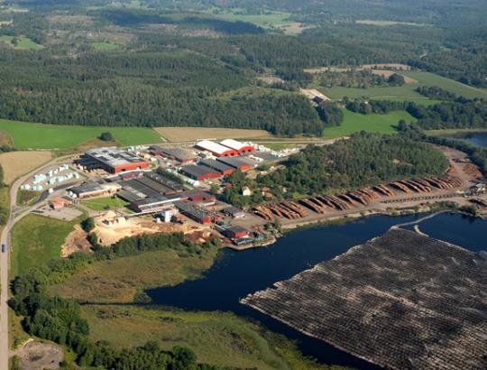 O.Labanauskaitė: miškų savininkams yra ko pasimokyti iš mūsų kaimynų