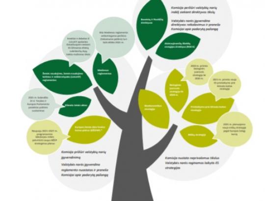 Europos Audito Rūmai įvertino ES miškų strategijos 2014–2020 įgyvendinimą