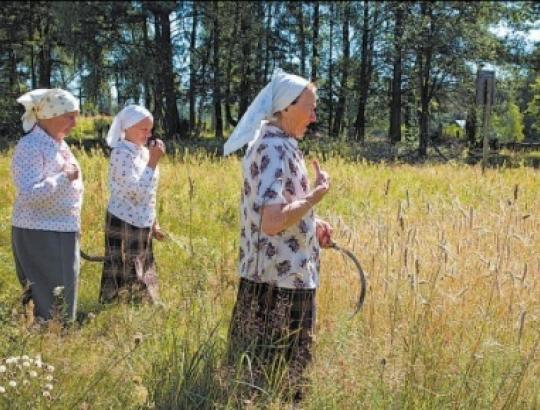 prof.V.Rudzkienė: Lietuvos saugomų teritorijų sistema ypač paini ir sudėtinga 