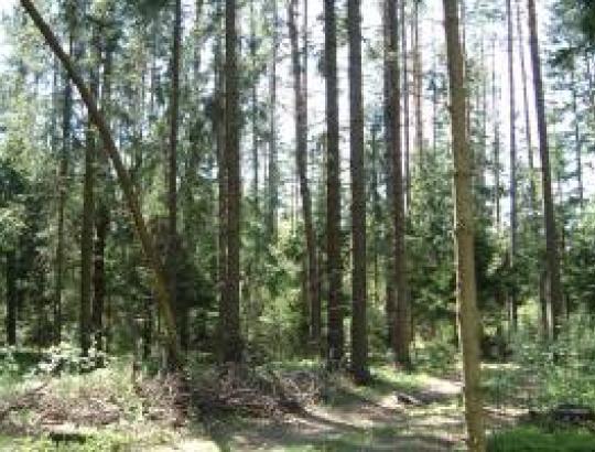 AM: Piktnaudžiavimams išvengti – dar ir papildomi saugikliai 