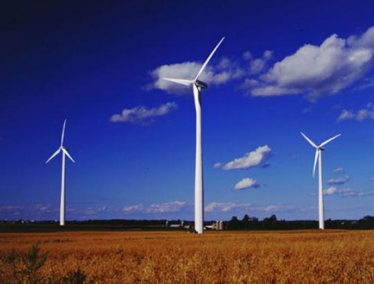 Eko-korupcija: nusikalstamos grupuotės skverbiasi į atsinaujinančios energetikos sektorių