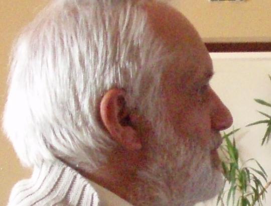 J.Lipavičius. Žalieji „miško gelbėtojai“ kelia audrą stiklinėje