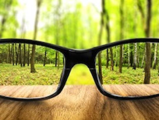 Mokymai privačių miškų savininkams- jau birželio 4 d. Registruokitės.