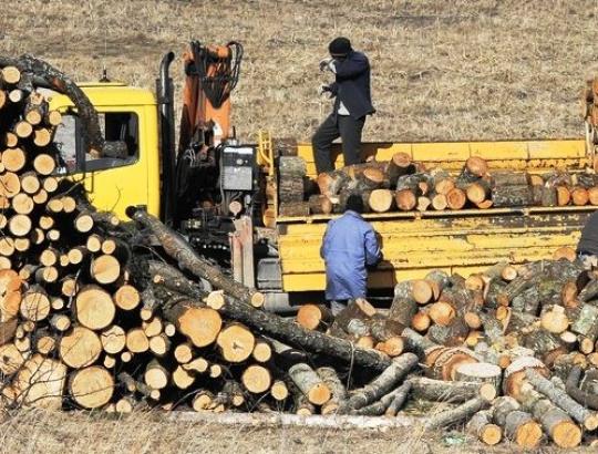 VDI įspėja: kad talka nevirstų tūkstantinėmis baudomis