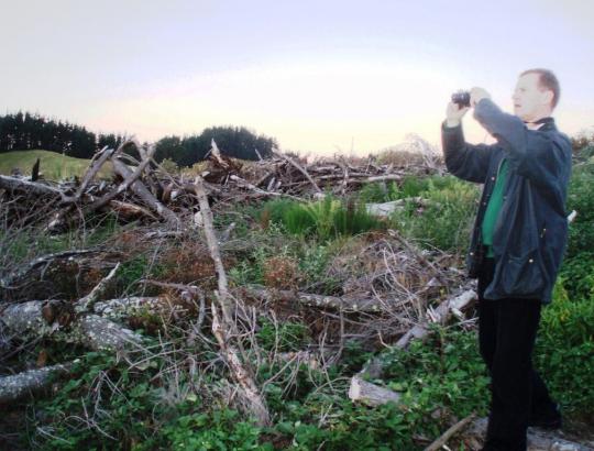 N.Zelandijoje pasimokyti ne tiek miškinikavimo, kiek sprendimų racionalumo