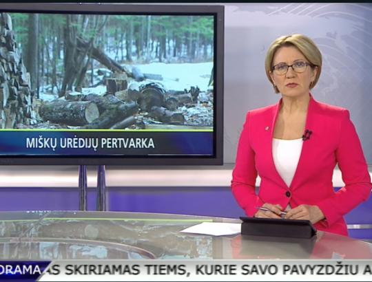 LRT TV laidoje "Panorama": Miškininkai baiminasi urėdijų pertvarkos
