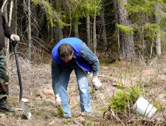 Darbo biržos skyriai į juodus sąrašus traukia UAB "Timbervita" 