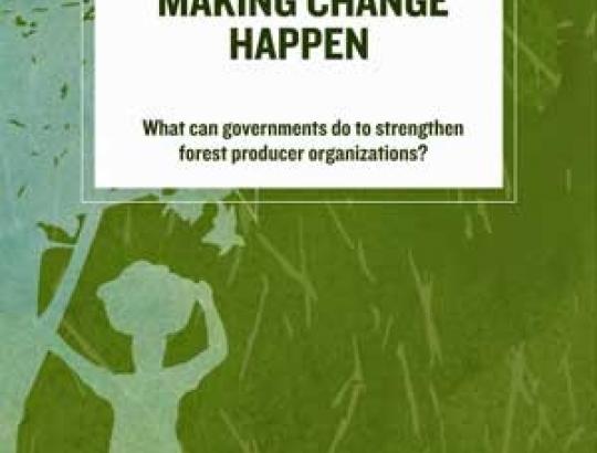 FAO pateikia rekomendacijas vyriausybėms kaip stiprinti miško gamintojų organizacijas