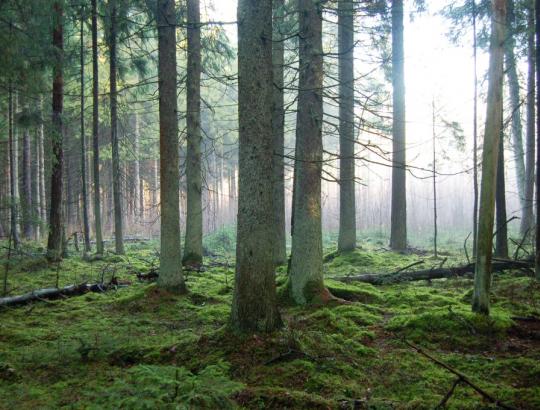 J.Dagilis: Eigulys – pirmas svečias po kunigo