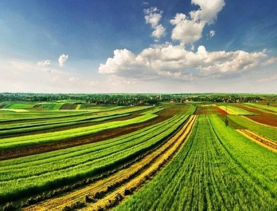 ŽŪM konsultuoja dėl žemės nuomos sandorių 