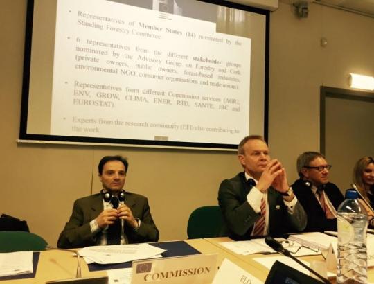 Briuselyje vyksta F&C SDG posėdis ES miškų politikos aktualijoms ir perspektyvoms aptarti