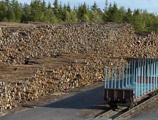 Kinai investuoja 1 mlrd.EUR į antros kartos biodyzelino gamyklą Suomijoje