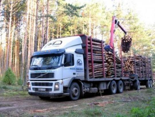 Keičiama prekybos mediena tvarka sukiršino gamintojus, prekeivius ir biokuro pirkėjus