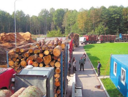 Ar plūstels 2012 m. pigesnė mediena Rusijai įstojus į PPO?
